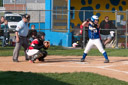 WHS Softball